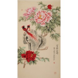 Peony - CNAG000523