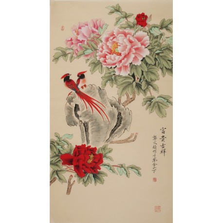 Peony - CNAG000523