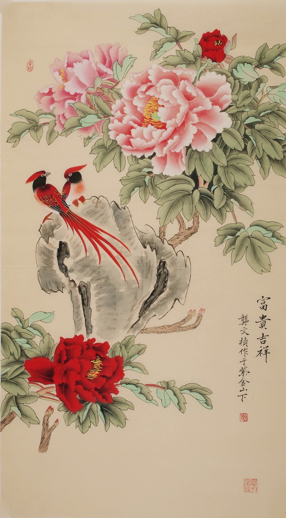 Peony - CNAG000523