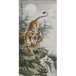 Tiger - CNAG000053