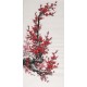 Plum - CNAG000531