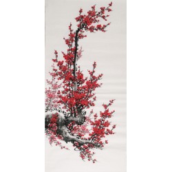 Plum - CNAG000531