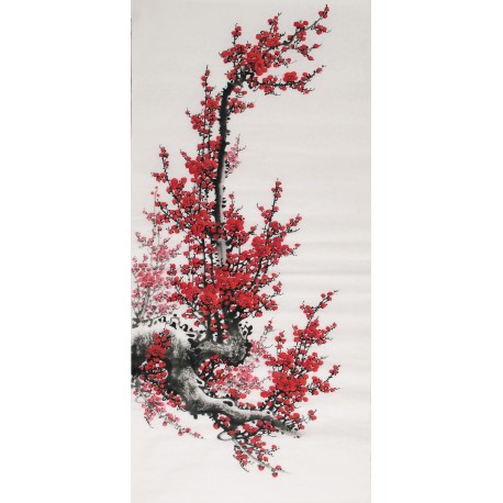 Plum - CNAG000531