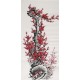 Plum - CNAG000532
