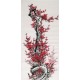 Plum - CNAG000533