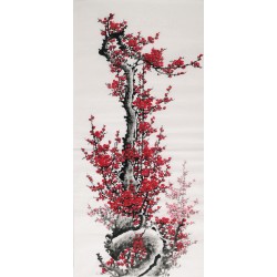 Plum - CNAG000533