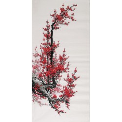 Plum - CNAG000534