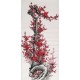 Plum - CNAG000535