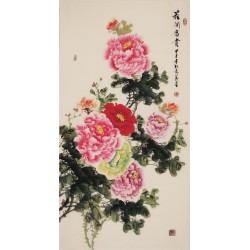 Peony - CNAG000536