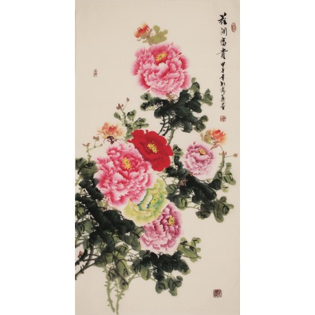 Peony - CNAG000536