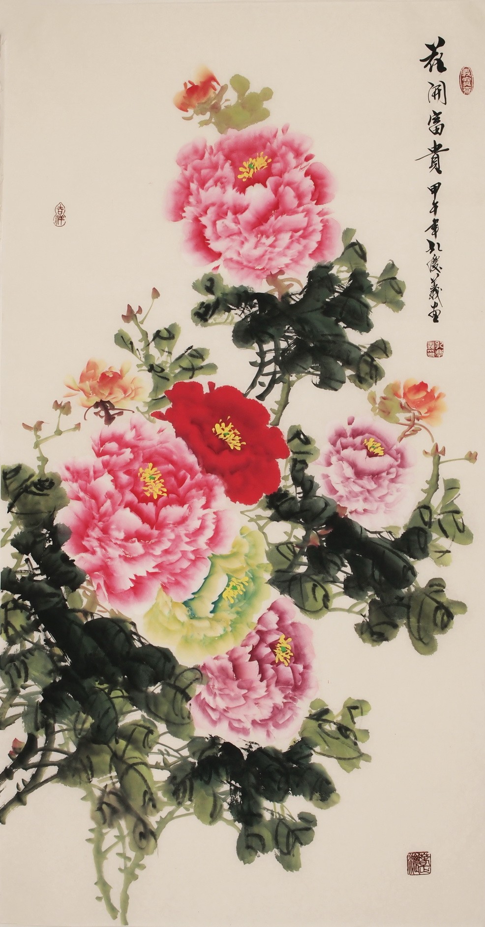 Peony - CNAG000536