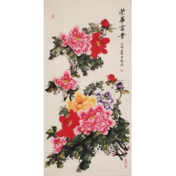 Peony - CNAG000537