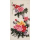Peony - CNAG000538