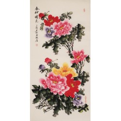 Peony - CNAG000538