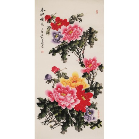 Peony - CNAG000538