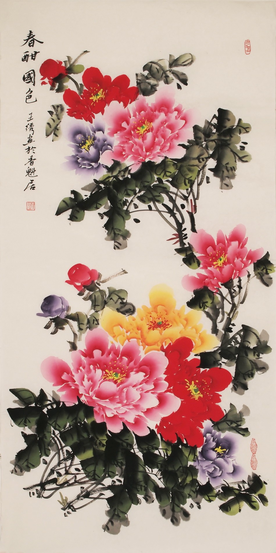 Peony - CNAG000538