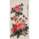 Peony - CNAG000539