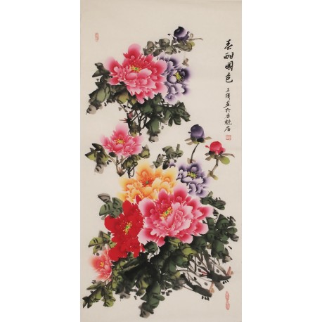 Peony - CNAG000539