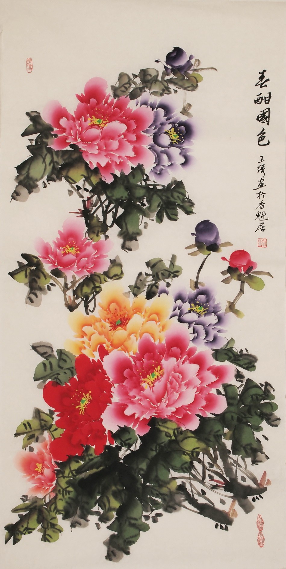 Peony - CNAG000539
