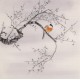 Plum - CNAG005396