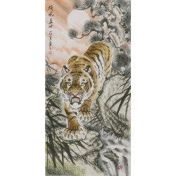 Tiger - CNAG000054