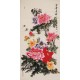 Peony - CNAG000540