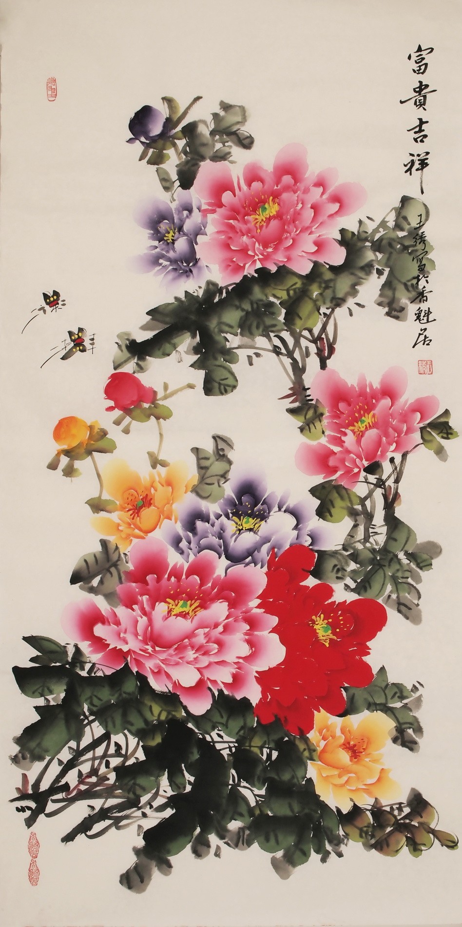 Peony - CNAG000540