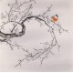 Plum - CNAG005398