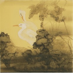 Lotus - CNAG005409