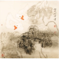 Lotus - CNAG005415