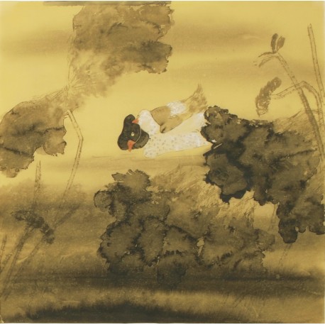 Lotus - CNAG005424