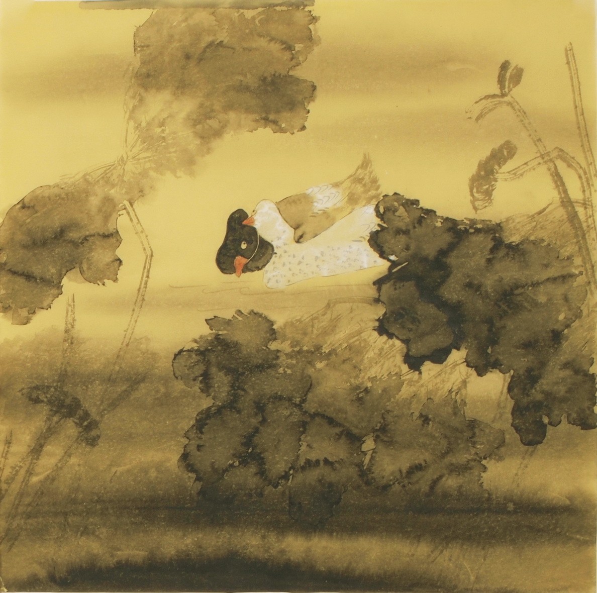 Lotus - CNAG005424