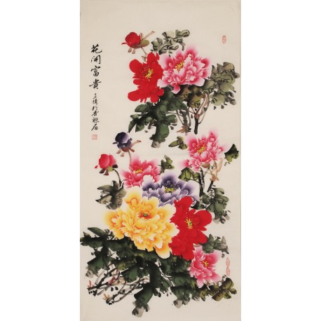 Peony - CNAG000543