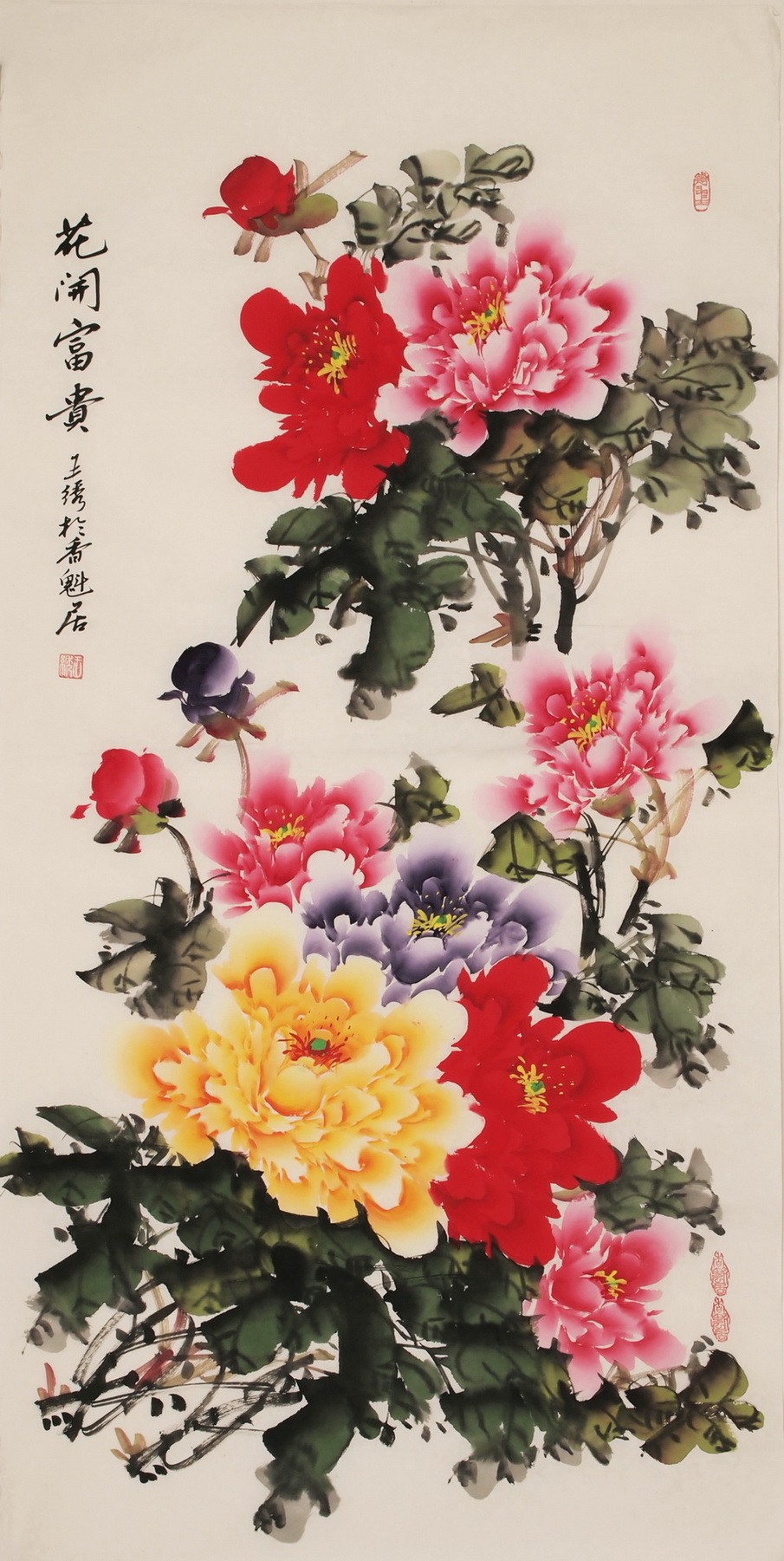 Peony - CNAG000543