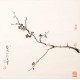 Plum - CNAG005427