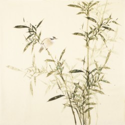 Green Bamboo - CNAG005430