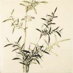 Green Bamboo - CNAG005432
