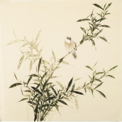 Green Bamboo - CNAG005433