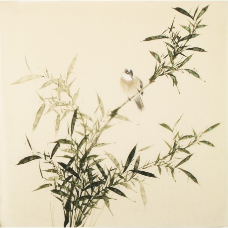 Green Bamboo - CNAG005433
