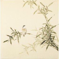 Green Bamboo - CNAG005434