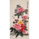 Peony - CNAG000544
