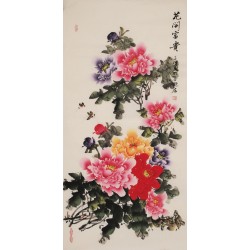 Peony - CNAG000544