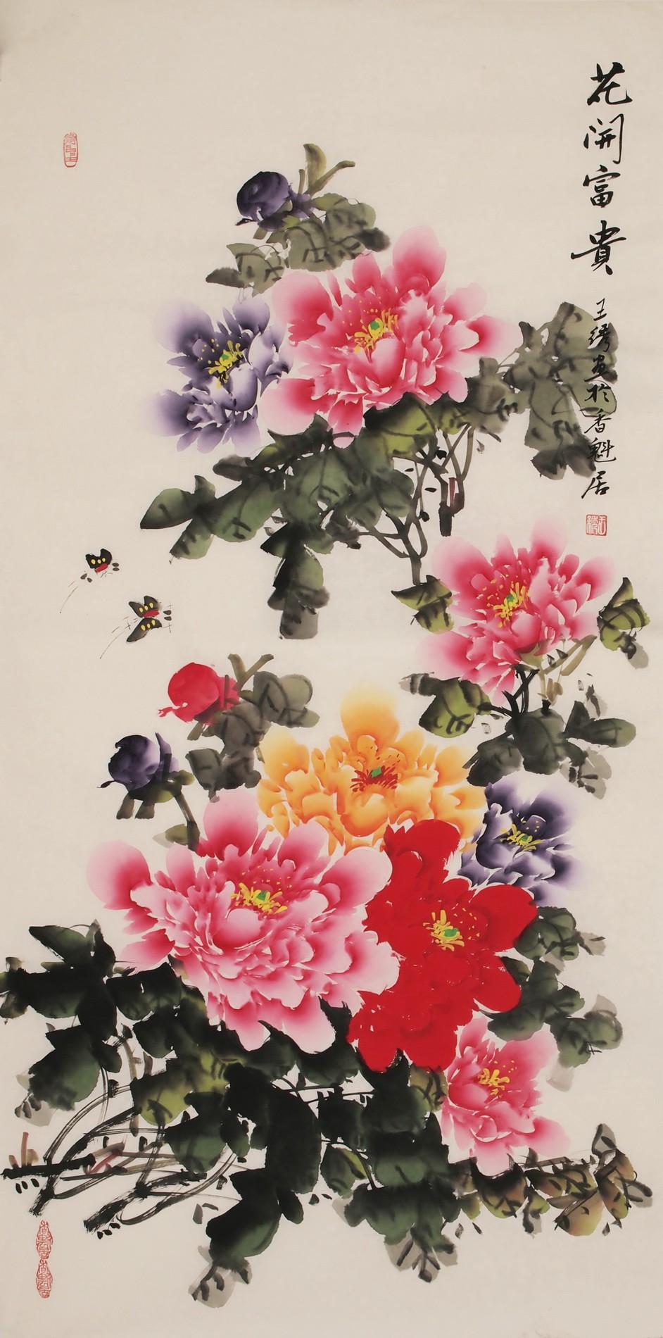 Peony - CNAG000544
