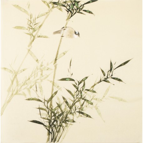 Green Bamboo - CNAG005437