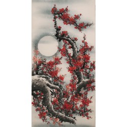 Plum - CNAG000545