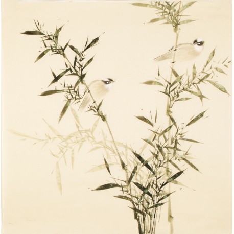 Green Bamboo - CNAG005448