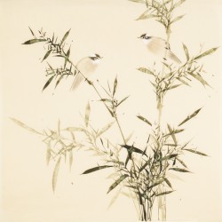 Green Bamboo - CNAG005449