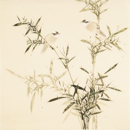 Green Bamboo - CNAG005449
