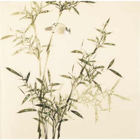 Green Bamboo - CNAG005455