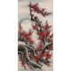 Plum - CNAG000546